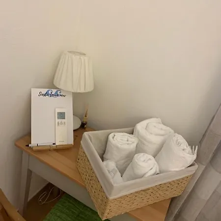 Siesta Terra New